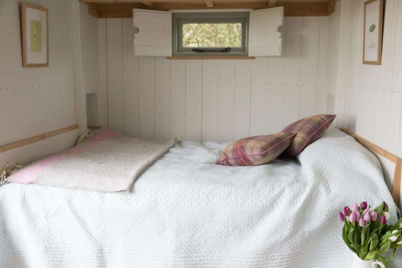 Tilbury Shepherd Huts With Hot Tubs Plus Holiday Cottages West Bagborough Exteriér fotografie